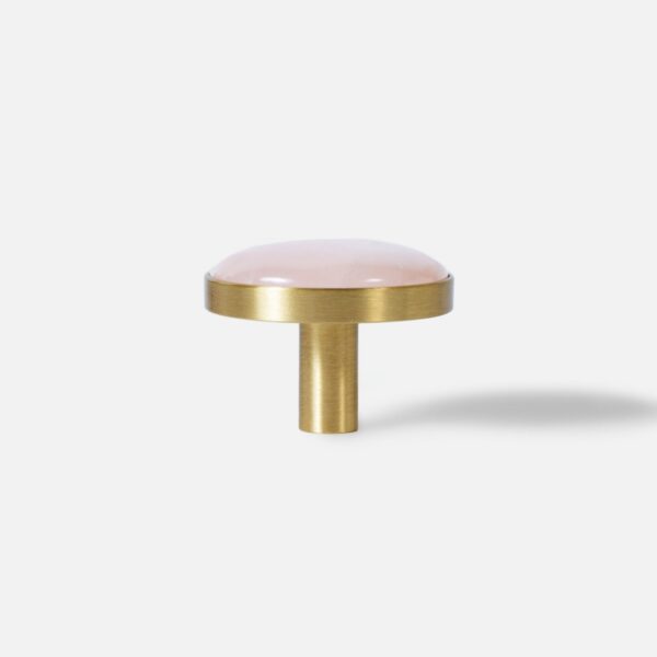 1000029954 1000029954