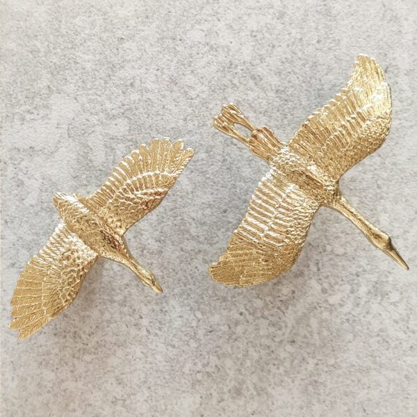 1000030117 1000030117