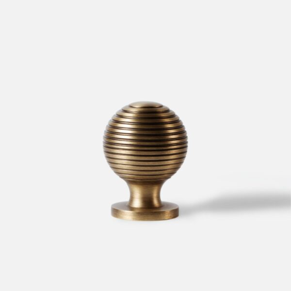 1000030249 1000030249