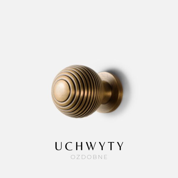 20231215_223131_0001 20231215_223131_0001