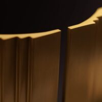 Uchwyt-meblowy-pochwyt-mosiezny-Grave-300mm