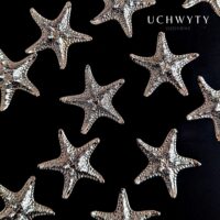 Uchwyt-meblowy-rozgwiazda-mosiezna-w-kolorze-srebrnym-3