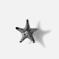 Uchwyt_mosiezny_rozgwiazda_kolor_srebrny